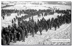 German surrender at Stalingrad