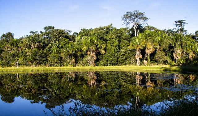 Estrategias de conservación