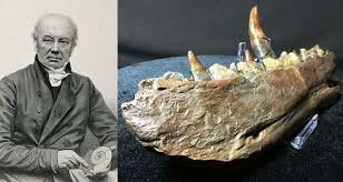 Primeros fósiles de dinosaurios (1822)