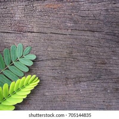 Timeline: desarrollo sustentable