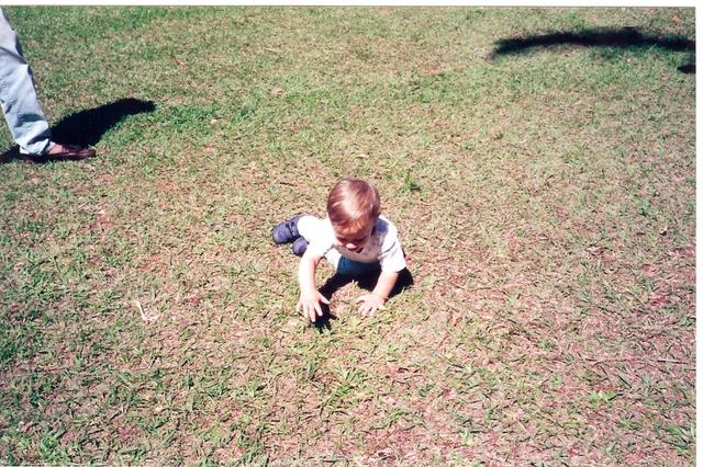 Primeiro contato com a grama