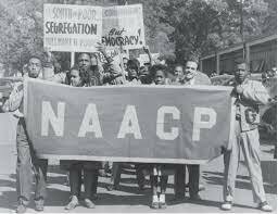 NAACP formed