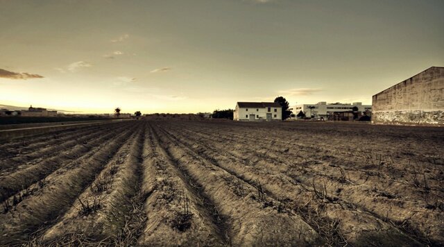 Despoblamiento de las tierras cultivables