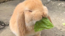 Timeline: Chemistry Timeline Project