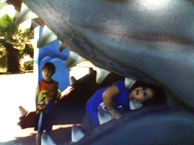 saw a real live shark at the chorpus christi beach