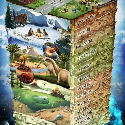 Timeline: EVOLUCIÓN DEL REINO ANIMAL