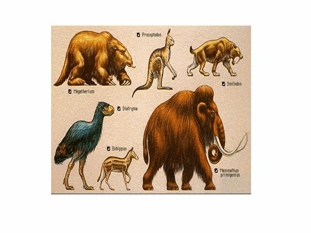 Era de los mamíferos