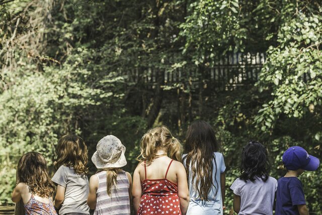 Amendments to the ESEA Title VI