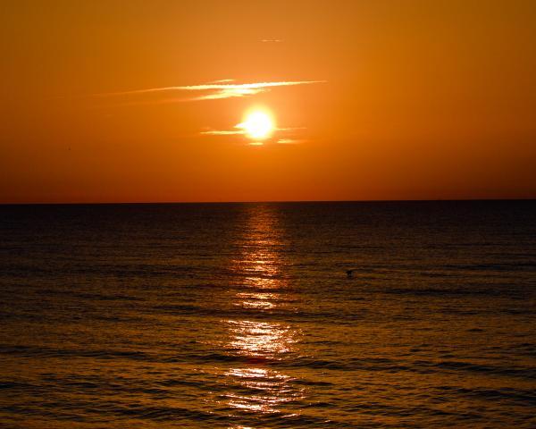 When I went to Florida