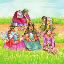 Corte Constitucional. Sentencia T 496/2008