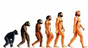 Evolucionismo Unilineal