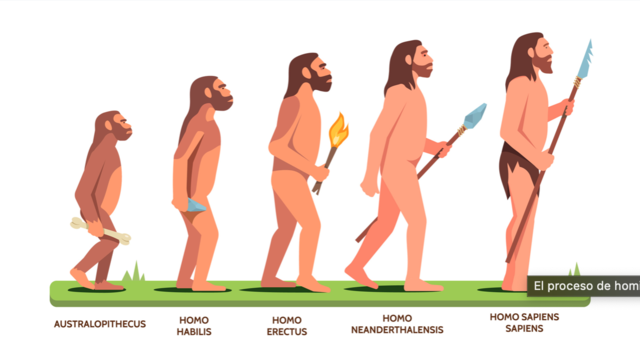 ¿cómo se desarrollo el hombre? proceso de hominización