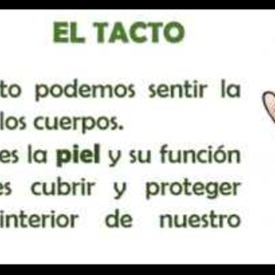 Timeline: EVOLUCION DEL TACTO