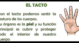 Timeline: EVOLUCION DEL TACTO