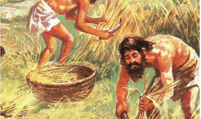 Revolución Agrícola