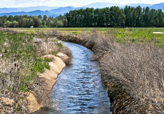 Surge la irrigación agrícola y se cultiva maíz, frijol, calabaza, chile, algodón huautli (alegría).