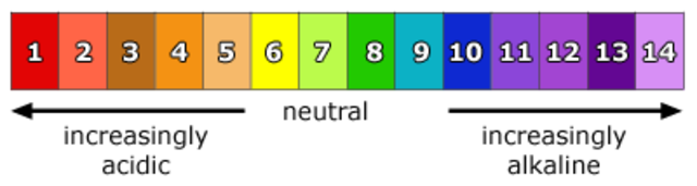 The Discovery of the pH scale