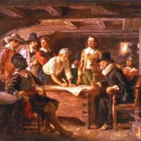 MayFlower Compact