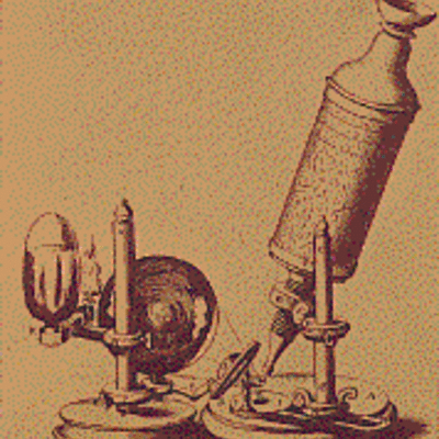 Timeline: Historia de los conceptos de causa y enfermedad: paralelismo entre la Medicina y la Fitopatología