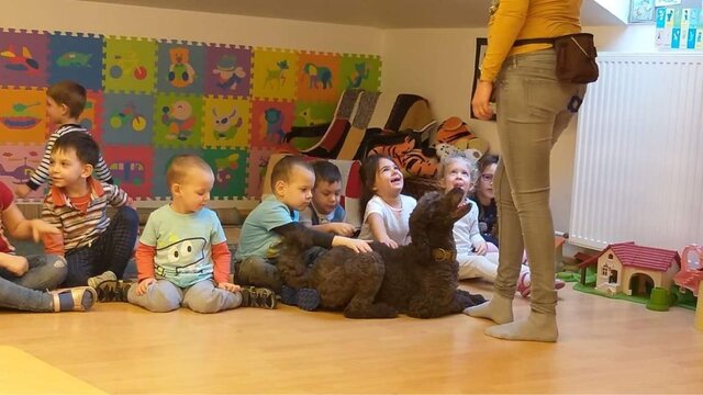 Saját terápiás kutya