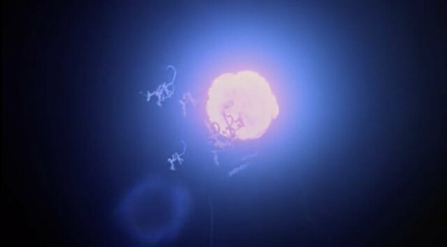 Fishbowl | Tightrope