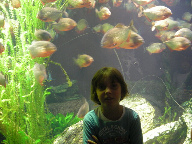 Prima volta all'acquario di Genova