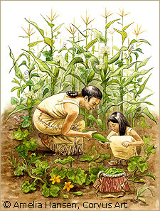 Primeras plantas domesticadas