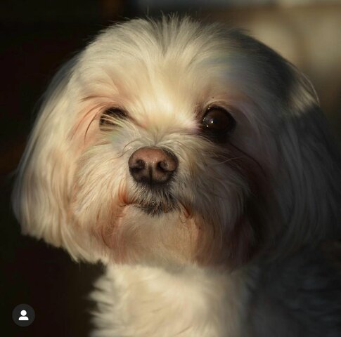 Ens van regalar a l'Aran