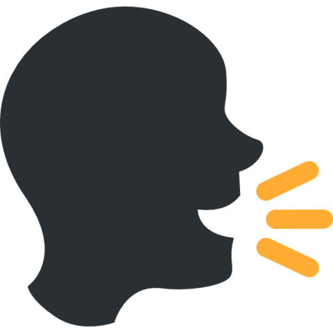 Començo a parlar bé 2009