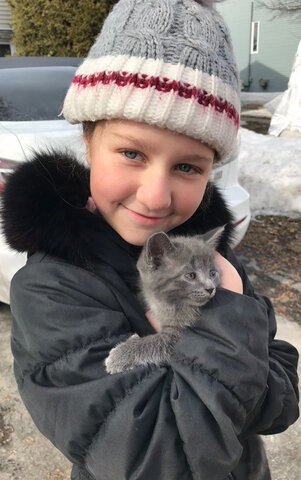 L’arrivée de mon chat ❤️!