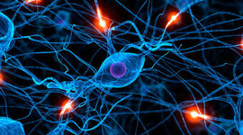 Timeline: BIOLOGIA CELULAR Y  MOLECULAR