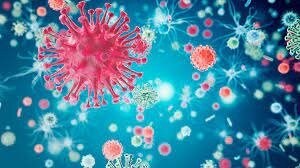 Hechos más importantes