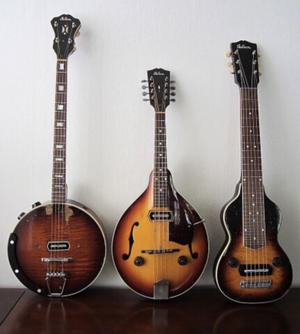 Introduction of the electric guitar