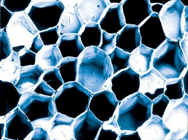 Robert Hooke - Las Células