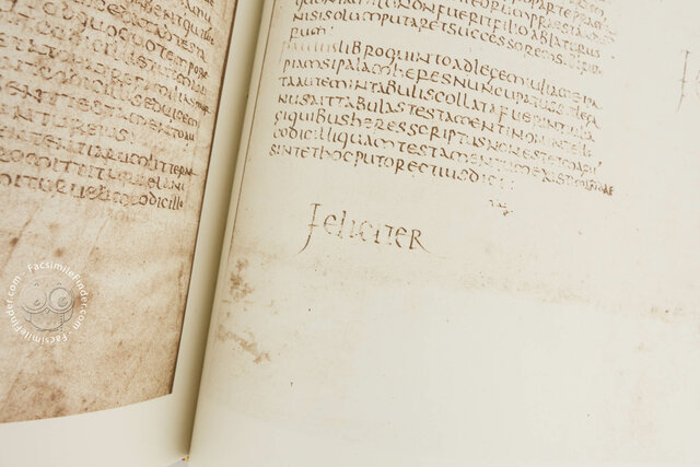 Florencia vence Pisa