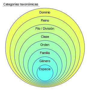 Jean-Baptiste Lamarck - Taxonomía