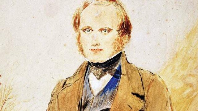 Transmutation (evolution)