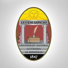 Primer año en la universidad