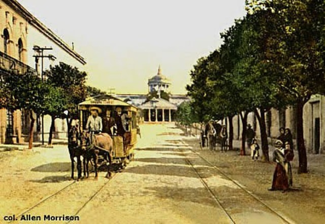 Ferrocarril de mulitas