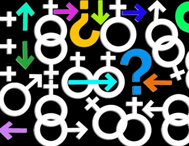 El género sustituye  el término sexo