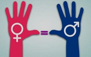 Noción del término género