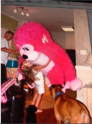 gané un muy grande mono por mi cumpleaños. Recibí mi perro y fueron al playa. Era verano y hacía muy de cálido.el cantante de moda era Carly Rae Jepsen