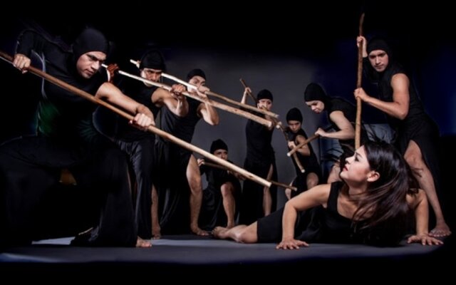 Young adulthood (Studies)