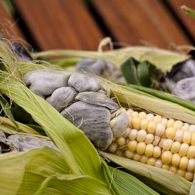 Timeline: LINEA DEL TIEMPO "AGRICULTURA EN EL CENTRO DE MEXICO"