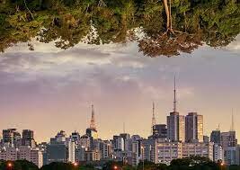 Comienza un proceso de fusión, adoptando el nombre Natura.