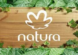 Se crea el diseño de Natura