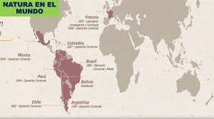 Inician movimiento de internacionalización