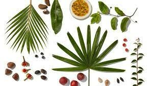 Inician asociación para suministros