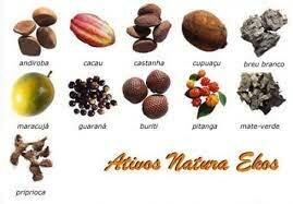 Natura incorpora activos de la biodiversidad brasileña