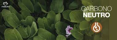 Se lanza el Programa Carbono Neutro